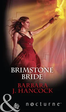 Barbara Hancock Brimstone Bride обложка книги