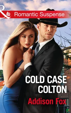 Addison Fox Cold Case Colton