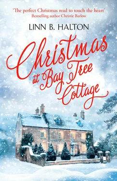 Linn Halton Christmas at Bay Tree Cottage обложка книги