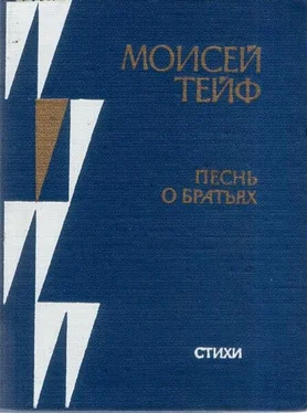 Моисей Тейф Песнь о братьях обложка книги