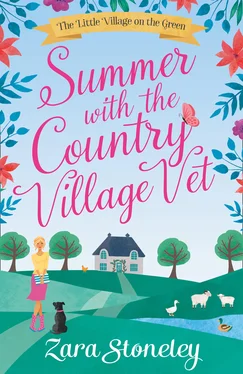 Zara Stoneley Summer with the Country Village Vet обложка книги