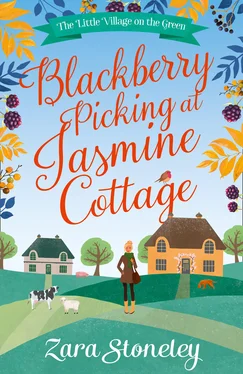 Zara Stoneley Blackberry Picking at Jasmine Cottage обложка книги