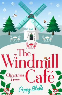 Poppy Blake The Windmill Café: Christmas Trees обложка книги