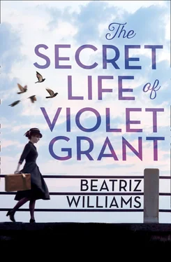 Beatriz Williams The Secret Life of Violet Grant обложка книги