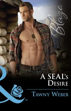 Tawny Weber A Seal's Desire обложка книги