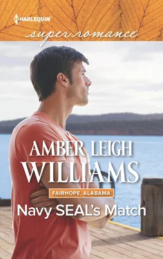Amber Williams Navy Seal's Match обложка книги