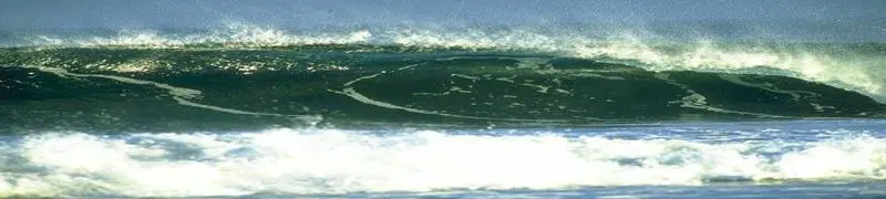 И передан мне морем тростник 71 подобный посоху а гонец в облачной одежде - фото 39