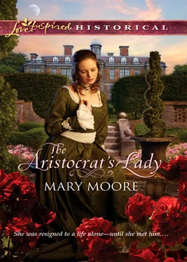 Mary Moore The Aristocrat's Lady обложка книги