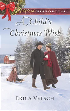 Erica Vetsch A Child's Christmas Wish обложка книги