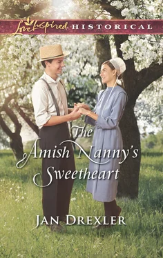 Jan Drexler The Amish Nanny's Sweetheart обложка книги