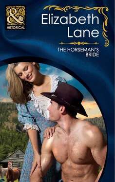 Elizabeth Lane The Horseman's Bride обложка книги