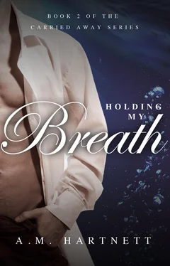 AM Hartnett Holding My Breath обложка книги