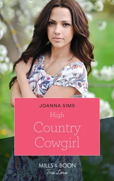 Joanna Sims High Country Cowgirl обложка книги