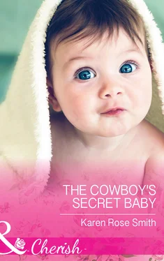 Karen Smith The Cowboy's Secret Baby обложка книги