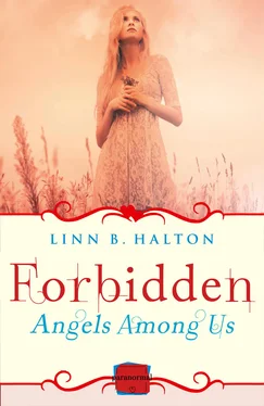 Linn Halton Forbidden: обложка книги