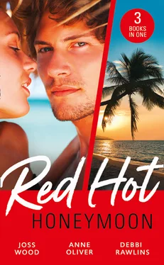 Debbi Rawlins Red-Hot Honeymoon: The Honeymoon Arrangement / Marriage in Name Only? / The Honeymoon That Wasn't обложка книги