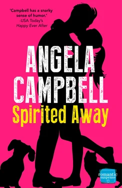 Angela Campbell Spirited Away обложка книги