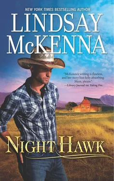 Lindsay McKenna Night Hawk обложка книги