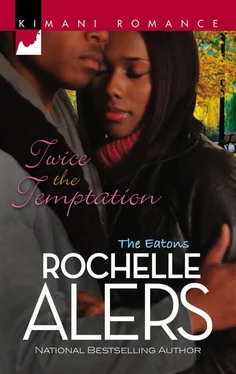 Rochelle Alers Twice the Temptation обложка книги