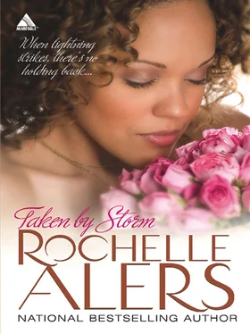 Rochelle Alers Taken by Storm обложка книги