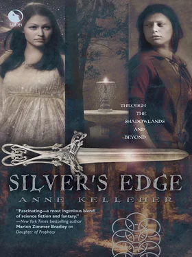Anne Kelleher Silver's Edge обложка книги