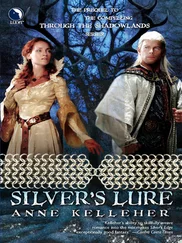 Anne Kelleher - Silver's Lure