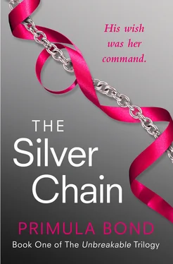 Primula Bond The Silver Chain обложка книги