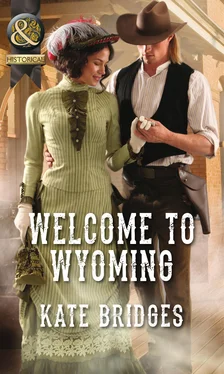 Kate Bridges Welcome To Wyoming обложка книги