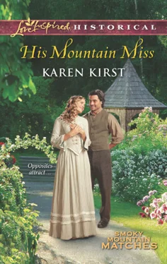 Karen Kirst His Mountain Miss обложка книги
