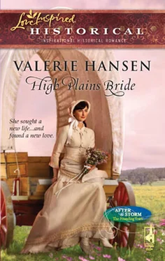 Valerie Hansen High Plains Bride обложка книги