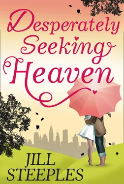 Jill Steeples Desperately Seeking Heaven обложка книги