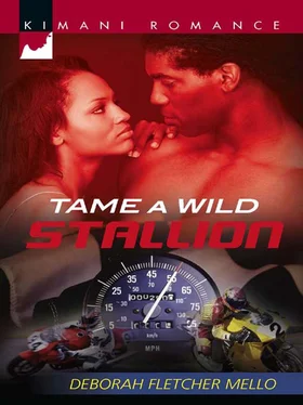 Deborah Mello Tame a Wild Stallion обложка книги