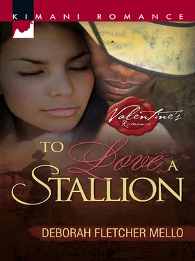 Deborah Mello To Love a Stallion обложка книги