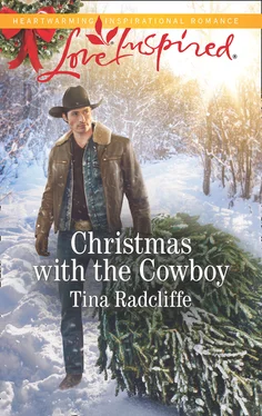 Tina Radcliffe Christmas With The Cowboy обложка книги