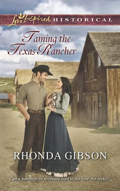 Rhonda Gibson Taming the Texas Rancher обложка книги