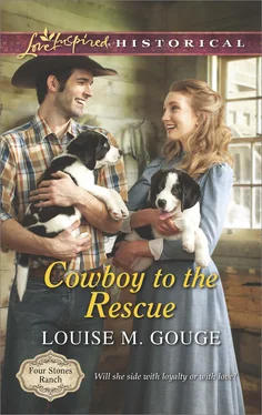 Louise Gouge Cowboy to the Rescue обложка книги