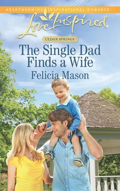 Felicia Mason The Single Dad Finds a Wife обложка книги