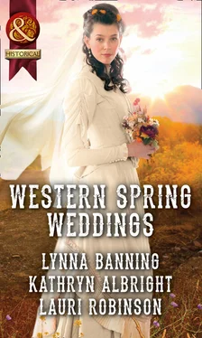 Kathryn Albright Western Spring Weddings: The City Girl and the Rancher / His Springtime Bride / When a Cowboy Says I Do обложка книги