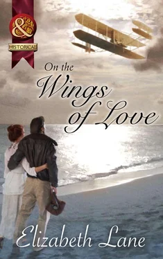 Elizabeth Lane On the Wings of Love обложка книги