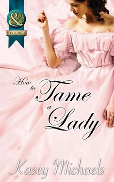 Kasey Michaels How to Tame a Lady обложка книги