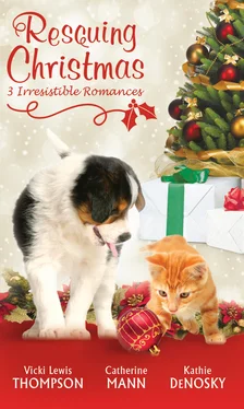 Kathie DeNosky Rescuing Christmas: Holiday Haven / Home for Christmas / A Puppy for Will обложка книги