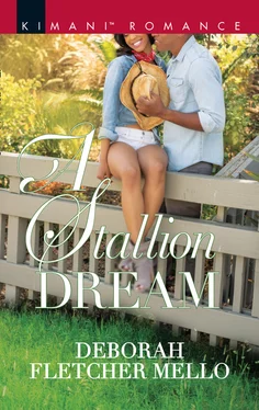 Deborah Mello A Stallion Dream обложка книги
