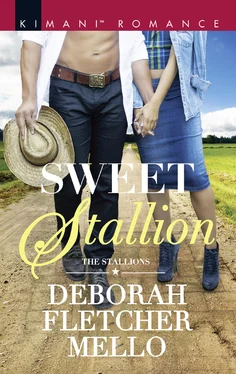 Deborah Mello Sweet Stallion обложка книги