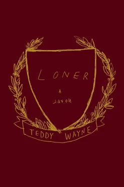 Teddy Wayne Loner обложка книги