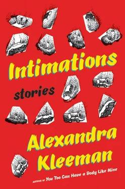 Alexandra Kleeman Intimations: Stories обложка книги