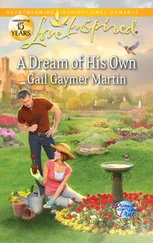 Gail Martin - A Dream of His Own
