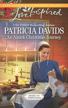 Patricia Davids An Amish Christmas Journey обложка книги