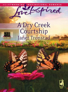 Janet Tronstad A Dry Creek Courtship обложка книги