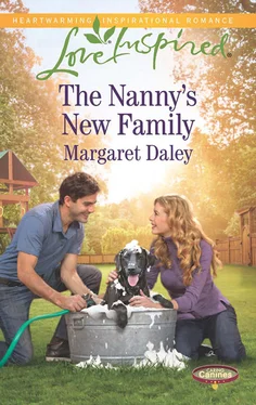 Margaret Daley The Nanny's New Family обложка книги