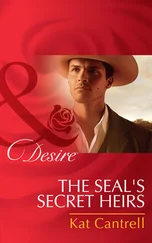 Kat Cantrell - The Seal's Secret Heirs